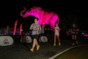 BIB: 
                            <button type="button" onclick="openModal(26534302)" class="btn btn-primary btn-sm float-right btn-popup" data-toggle="modal" data-target=".modal-high-quality">
                        <i class="fas fa-shopping-cart"></i> Add to Cart
                    </button>
                                            <button type="button" onclick="isThisMe(26534302, true)" class="btn btn-success btn-sm float-right btn-popup btn-isme hidden" data-toggle="tooltip" data-placement="bottom" title="นี่คือรูปของคุณใช่ไหม คลิกที่นี่เพื่อเอาเข้าอัลบั้ม">
                        <i class="fas fa-plus"></i> Add to album
                    </button>
                    <button type="button" onclick="isThisMe(26534302, false)" class="btn btn-warning btn-sm float-right btn-popup btn-isnotme hidden">
                        <i class="fas fa-ban"></i> Remove from album
                    </button>